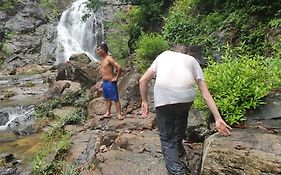 Bee Bee'S Chalets Home Stay And Trekking